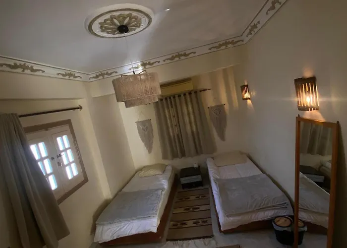 The Cozy House Apartment *